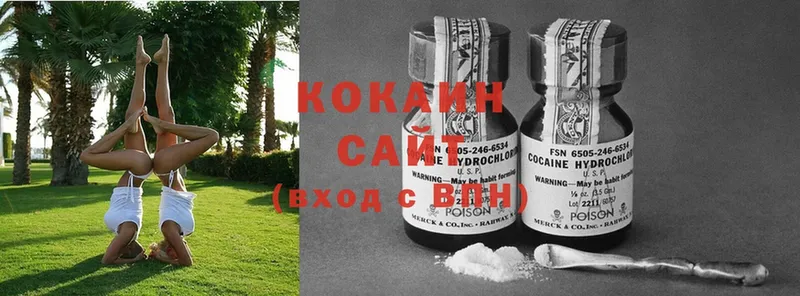 KRAKEN маркетплейс  Киреевск  Cocaine FishScale 