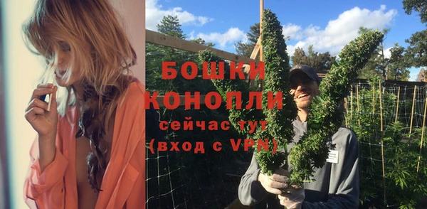 spice Нягань