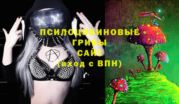 spice Нягань