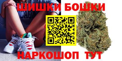 стафф Дубна
