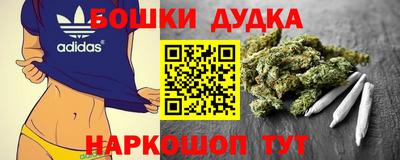 стафф Дубна
