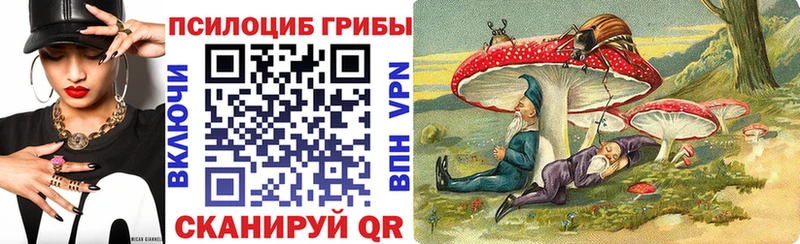 Галлюциногенные грибы мицелий  shop формула  Киреевск 