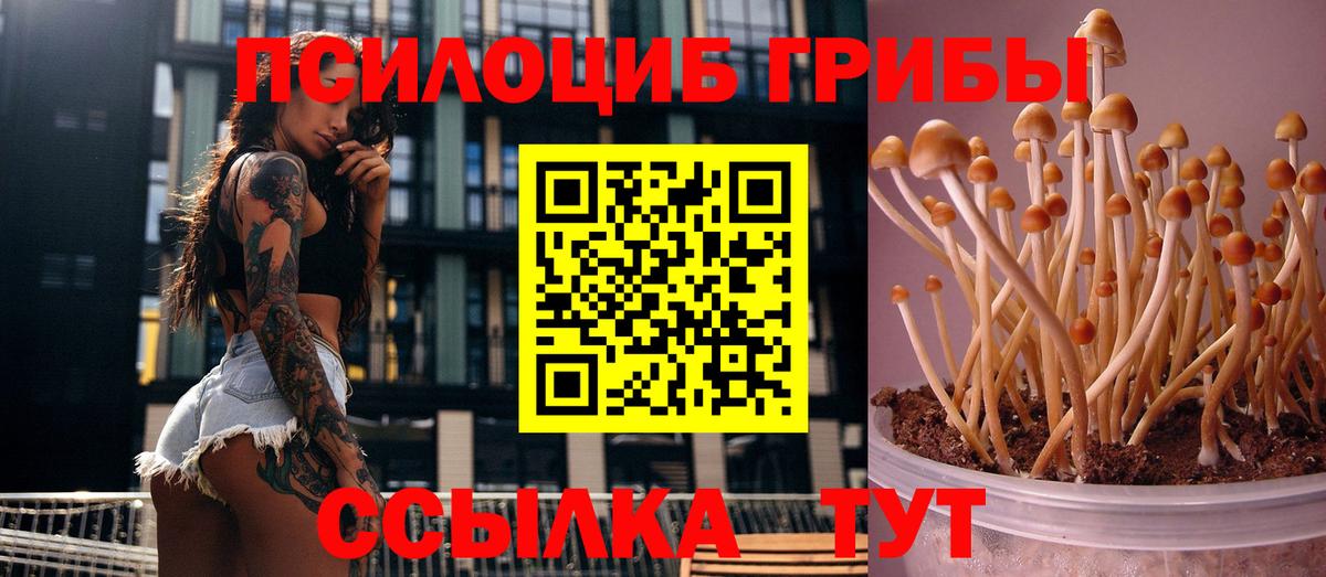 Псилоцибиновые грибы MAGIC MUSHROOMS Киреевск