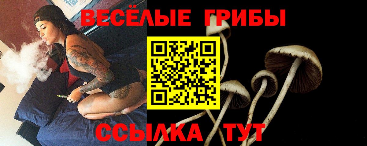 Галлюциногенные грибы GOLDEN TEACHER  Галлюциногенные грибы MAGIC MUSHROOMS  Киреевск  Вход с VPN 